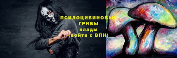 крисы Лагань