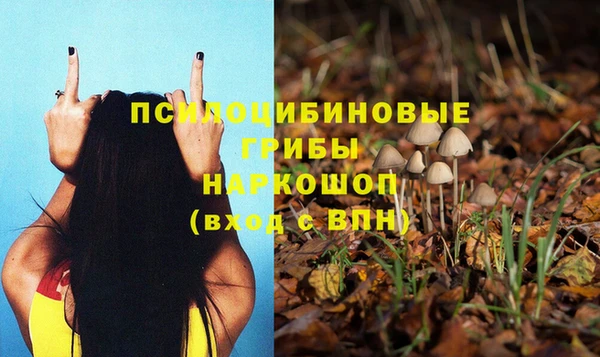 MDMA Premium VHQ Ладушкин