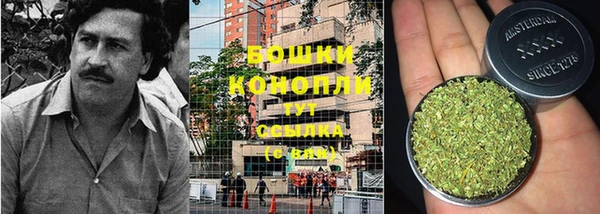 прущий лед Липки