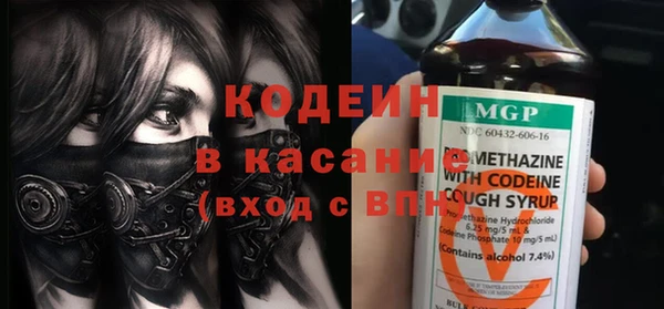 крисы Лагань