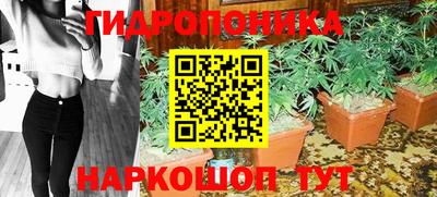 прущие крисы Обнинск