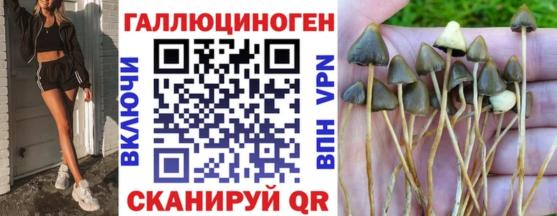 Псилоцибиновые грибы Cubensis  Евпатория 