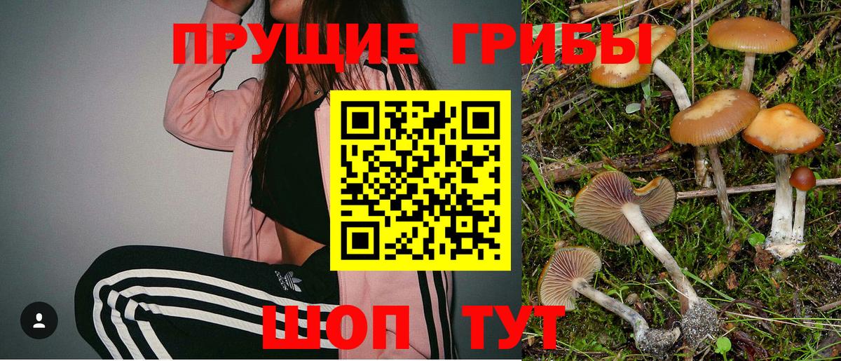 Галлюциногенные грибы ЛСД Евпатория