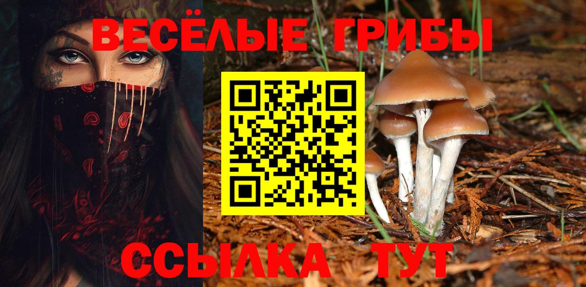 наркошоп  Вход с VPN  Псилоцибиновые грибы Cubensis  Евпатория  Псилоцибиновые грибы Psilocybine cubensis 
