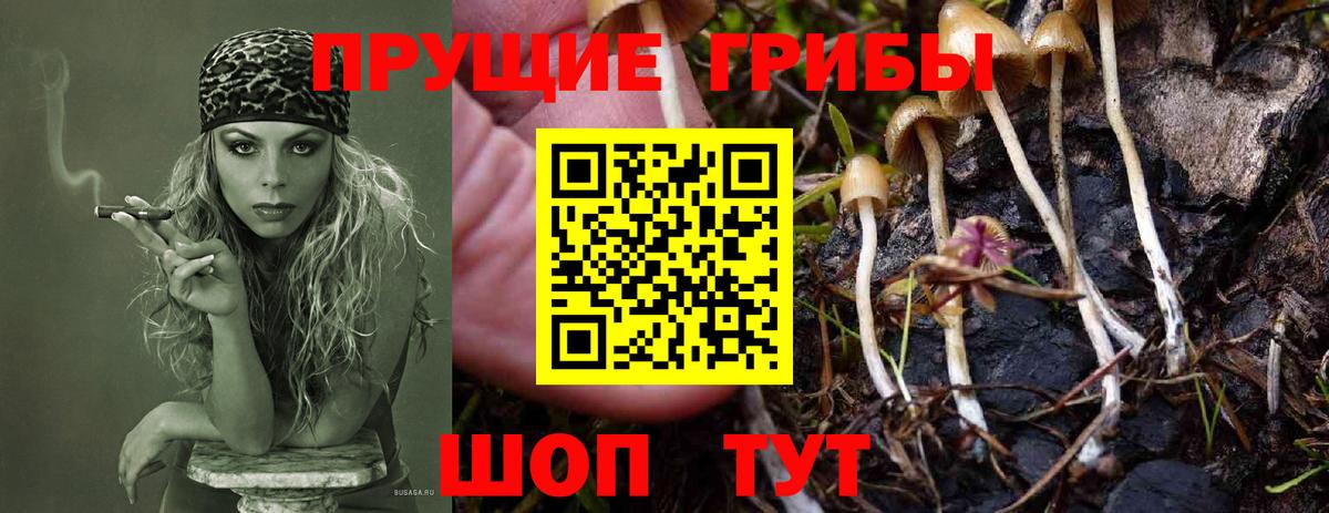 Экстази  MDMA  Евпатория  Марихуана  Мефедрон  Мефедрон кристаллы  Вход с VPN  Гашиш  A PVP СК кристаллы  Кетамин  Метамфетамин  АМФЕТАМИН кристаллы 