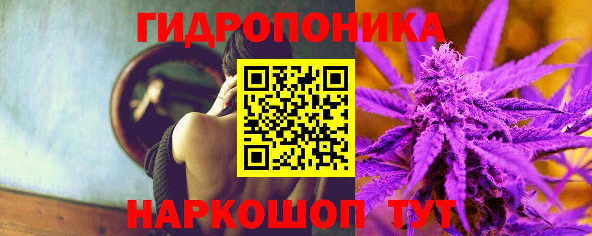 Бошки Шишки планчик Евпатория